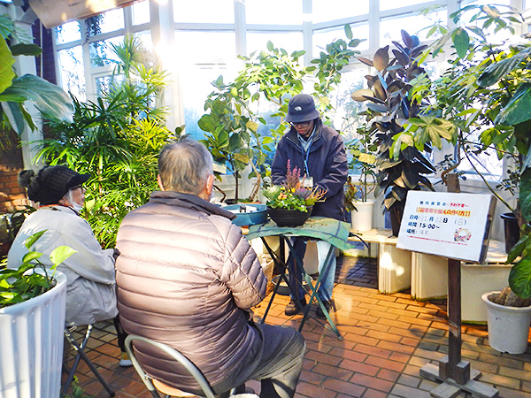 迎春寄せ植えの作り方