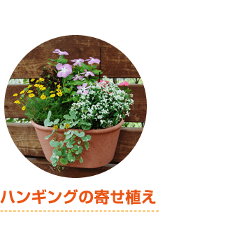 寄せ植え（ハンギング）コース