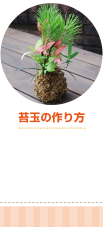 苔玉の作り方