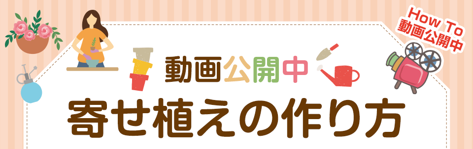 宝塚おうち園芸