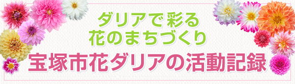 宝塚市内のダリア生育状況調査レポート