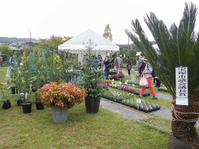 第137回 宝塚植木まつり