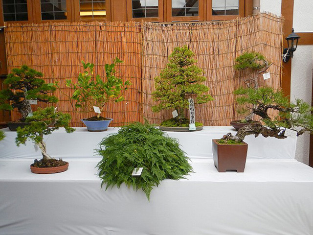 第137回 宝塚植木まつり