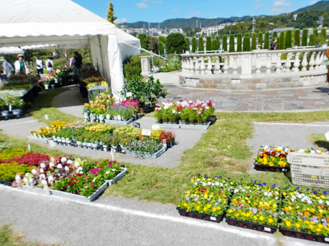 第139回 宝塚植木まつり