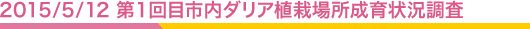 2015/05/12 1ܻꥢϾĴ