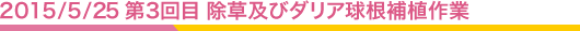 2015/05/25 3 ڤӥꥢ庬俢