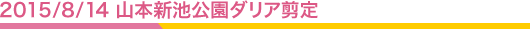 2015/8/14 ܿӸꥢڤᤷ