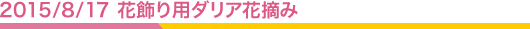 2015/8/17 ־ѥꥢŦ