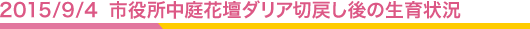 2015/7/23 ꥢĴ11̲