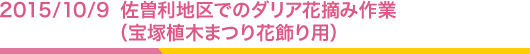 2015/10/9 ϶ǤΥꥢŦߺȡͿڤޤĤ־ѡ