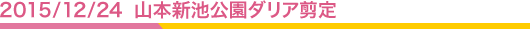 2015/12/24 山本新池公園ダリア剪定