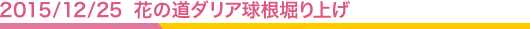 2015/12/25 花の道ダリア球根堀り上げ