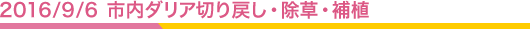 2016/9/6 市内ダリア切り戻し・除草・補植