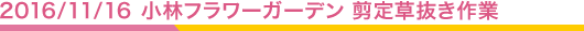 2016.11.16 小林フラワーガーデン 剪定草抜き作業