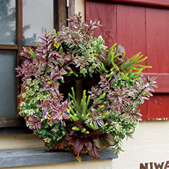 デラックスコース