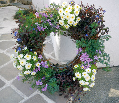 デラックスコース