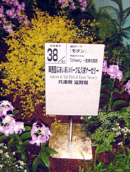 神戸らん展2005